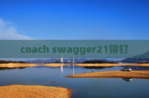 coach swagger21铆钉